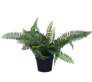 Artificial house plants