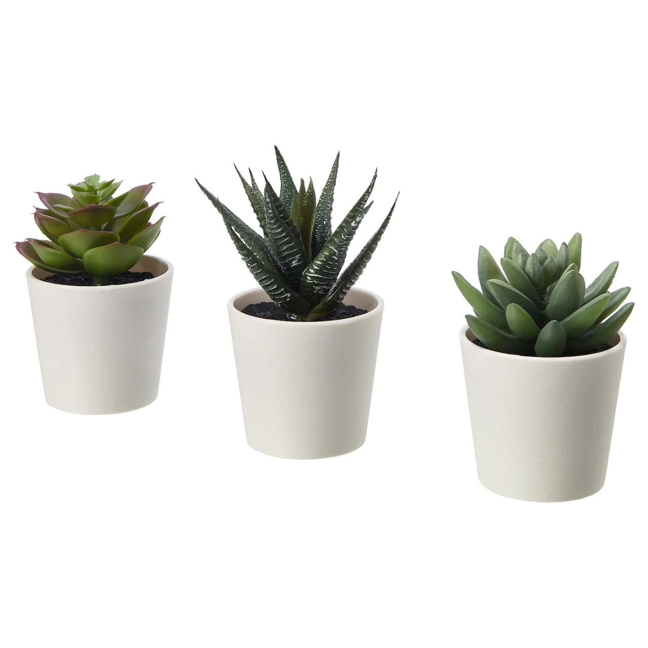 Outdoor Décor