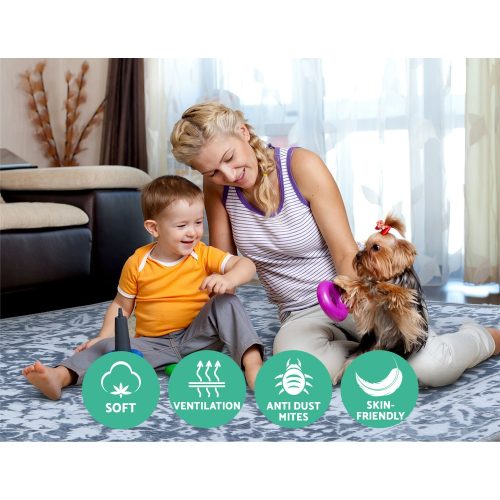 Contemporary area rug